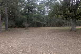 13798 Graf Rd, Brethren, MI 49619 - Photo 1