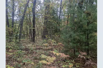 13798 Graf Road, Brethren, MI 49619 - Photo 4