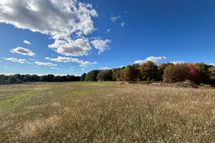 V/L 20A N Campbell Rd, Fountain, MI 49410 - Photo 10