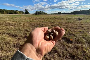 V/L 20A N Campbell Rd, Fountain, MI 49410 - Photo 20