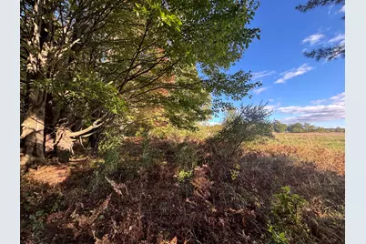 V/L 20A N Campbell Road, Fountain, MI 49410 - Photo 18