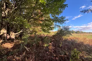 V/L 20A N Campbell Rd, Fountain, MI 49410 - Photo 18