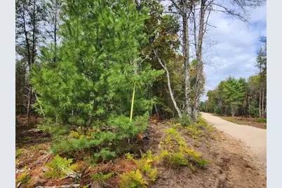 Parcel F Tatanka Trail, Baldwin, MI 49304 - Photo 2