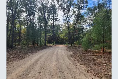 Parcel N Tatanka Trail, Baldwin, MI 49304 - Photo 2