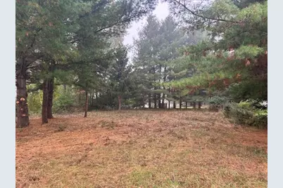 7125 Holiday Drive, Canadian Lakes, MI 49346 - Photo 2