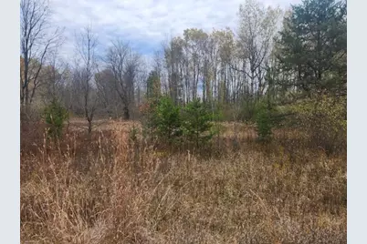 V/L 132nd Avenue, Shelby, MI 49455 - Photo 8