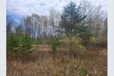 V/L 132nd Avenue, Shelby, MI 49455 - Photo 1