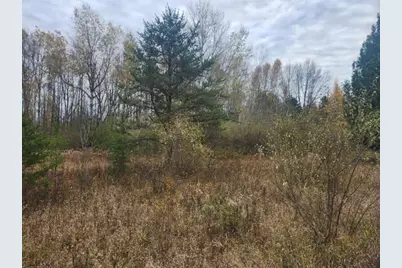 V/L 132nd Avenue, Shelby, MI 49455 - Photo 6