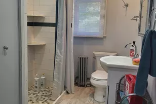 1455 Vinewood St, Detroit, MI 48216 - Photo 30