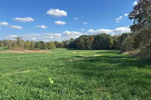 7644 Bothwell Hwy, Hudson, MI 49247 - Photo 56