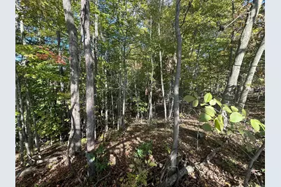 7644 Bothwell Highway, Hudson, MI 49247 - Photo 52