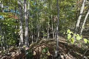 7644 Bothwell Hwy, Hudson, MI 49247 - Photo 52