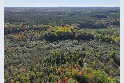 2697 N 176th Avenue, Walkerville, MI 49459 - Photo 54