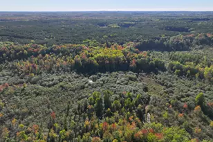 2697 N 176th Ave, Walkerville, MI 49459 - Photo 54