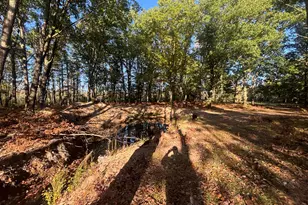 2697 N 176th Ave, Walkerville, MI 49459 - Photo 80