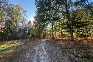 2697 N 176th Ave, Walkerville, MI 49459 - Photo 84