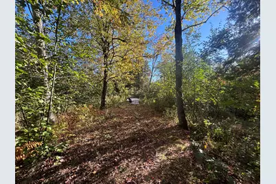 2697 N 176th Avenue, Walkerville, MI 49459 - Photo 78