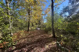 2697 N 176th Ave, Walkerville, MI 49459 - Photo 78