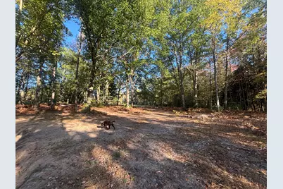 2697 N 176th Avenue, Walkerville, MI 49459 - Photo 82