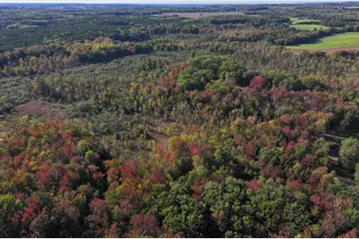 2697 N 176th Avenue, Walkerville, MI 49459 - Photo 50