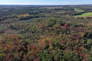 2697 N 176th Ave, Walkerville, MI 49459 - Photo 50