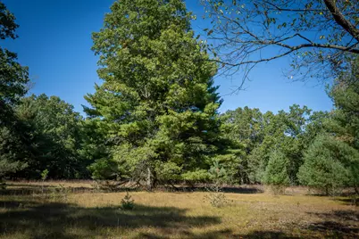 V/L Whitbeck Road, Montague, MI 49437 - Photo 8