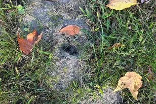 513 S Water St, Hart, MI 49420 - Photo 30