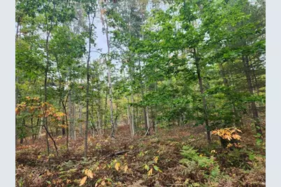 4869 E Free Soil Road, Free Soil, MI 49411 - Photo 20