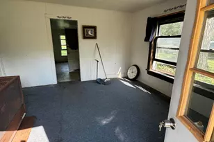 6596 Hillsinger St, Elwell, MI 48832 - Photo 6