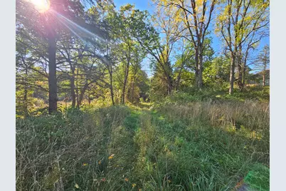 13333 Trinkle Road, Chelsea, MI 48118 - Photo 12