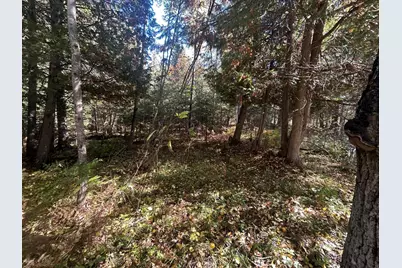 9964 E M 48, Goetzville, MI 49736 - Photo 82