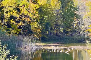 3025 NE Lakeshore Dr, Harrisville, MI 48740 - Photo 4