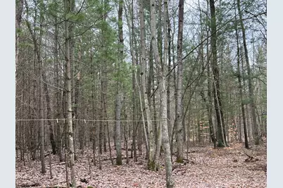 N Cherry Lane, Free Soil, MI 49411 - Photo 4