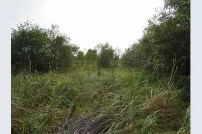 Vl 17 Mile Road, Marion, MI 49665 - Photo 38