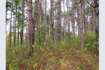 Vl 17 Mile Road, Marion, MI 49665 - Photo 20