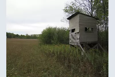 Vl 17 Mile Road, Marion, MI 49665 - Photo 24