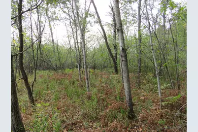 Vl 17 Mile Road, Marion, MI 49665 - Photo 20
