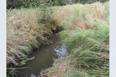 Vl 17 Mile Road, Marion, MI 49665 - Photo 28