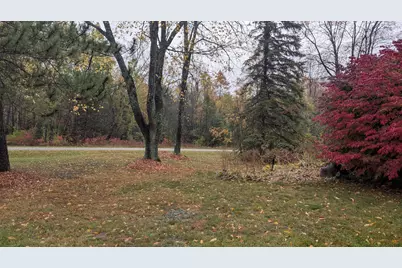2256 Whitetail Drive, Cadillac, MI 49601 - Photo 50