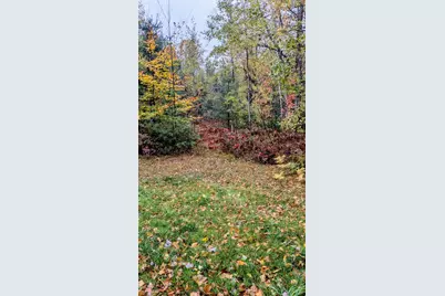 2256 Whitetail Drive, Cadillac, MI 49601 - Photo 48