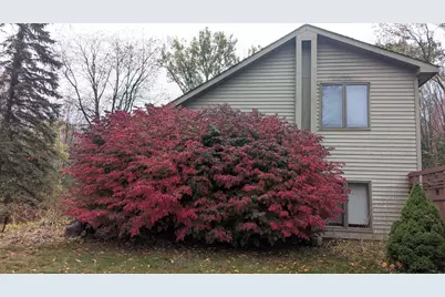 2256 Whitetail Drive, Cadillac, MI 49601 - Photo 46