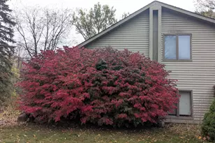 2256 Whitetail Dr, Cadillac, MI 49601 - Photo 46