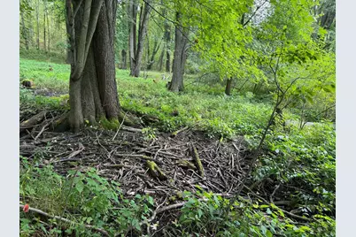 Pawnee Trail, Evart, MI 49631 - Photo 8