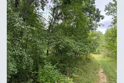 Pawnee Trail, Evart, MI 49631 - Photo 10