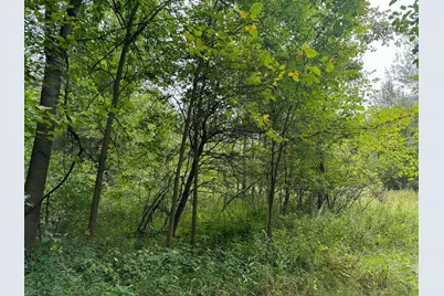 Pawnee Trail, Evart, MI 49631 - Photo 6