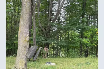 Pawnee Trail, Evart, MI 49631 - Photo 70