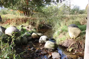 1425 Stout Rd Rd, Hawes, MI 48705 - Photo 58