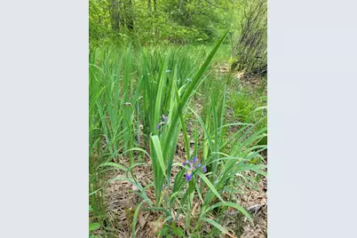 Lots 1-9 Cranberry Street, Wellston, MI 49689 - Photo 18