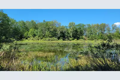 Lots 1-9 Cranberry Street, Wellston, MI 49689 - Photo 12