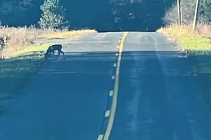 3498 Lindeman Rd, Manistee, MI 49660 - Photo 62